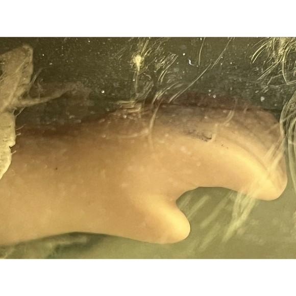 Treasured Memories Young Friends Collection Porcelain Doll Vintage 1991 - Picture 9 of 16